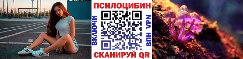 где купить наркоту  Борзя  Псилоцибиновые грибы Psilocybe 