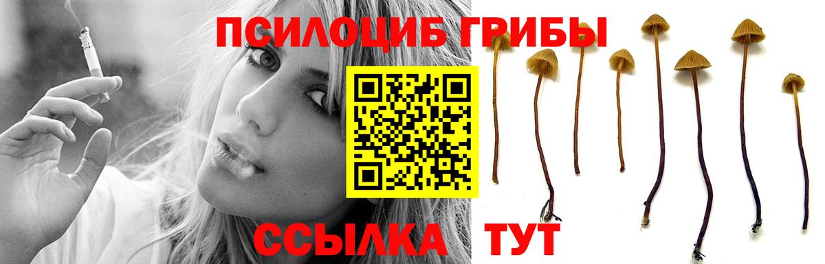 Псилоцибиновые грибы Psilocybine cubensis  Вход с VPN  Борзя  Псилоцибиновые грибы Magic Shrooms 